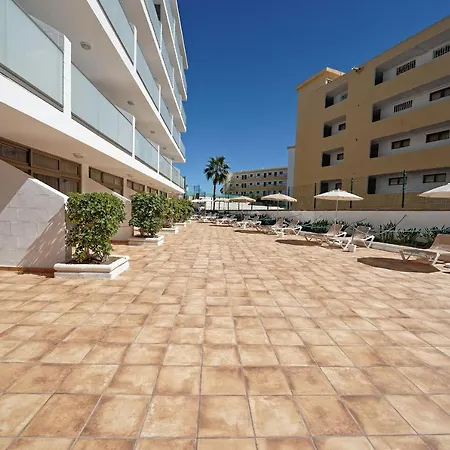 Strelitzias Playa del Ingles (Gran Canaria)