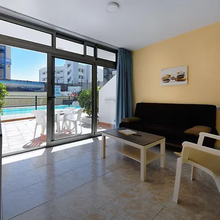 Strelitzias Playa del Ingles (Gran Canaria)