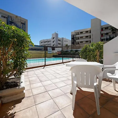 Strelitzias * Playa del Ingles (Gran Canaria)