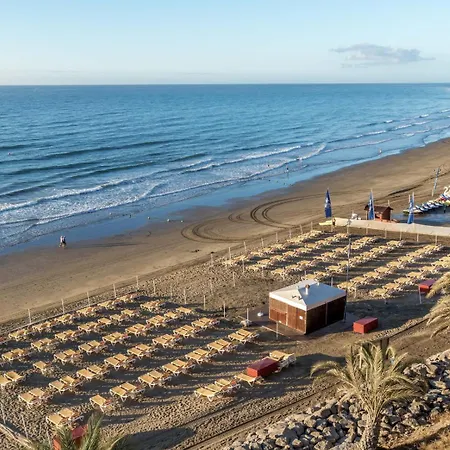 Strelitzias * Playa del Ingles (Gran Canaria)