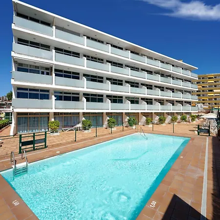 Strelitzias * Playa del Ingles (Gran Canaria)