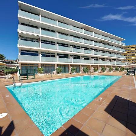 Strelitzias * Playa del Ingles (Gran Canaria)