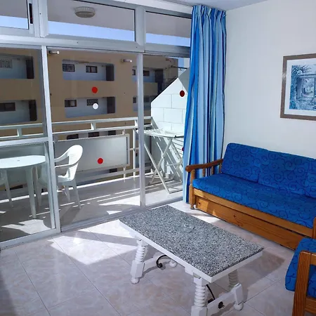 Strelitzias Playa del Ingles (Gran Canaria)