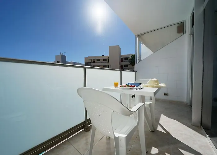 Strelitzias * Playa del Ingles (Gran Canaria)