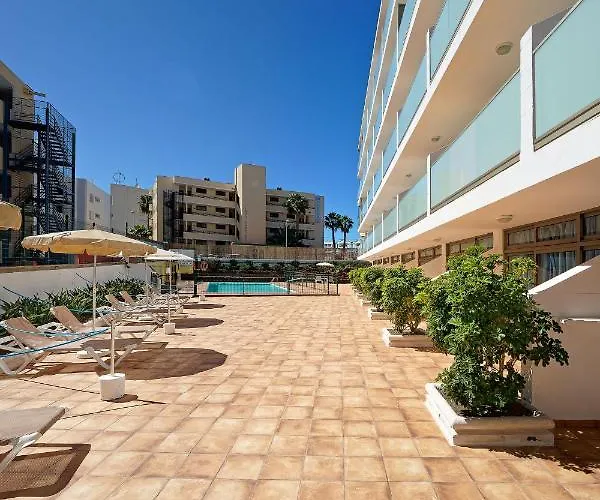 Strelitzias Playa del Ingles (Gran Canaria)