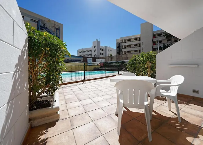 Strelitzias * Playa del Ingles (Gran Canaria)