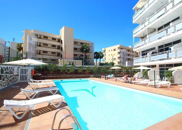 Strelitzias Playa del Ingles (Gran Canaria)