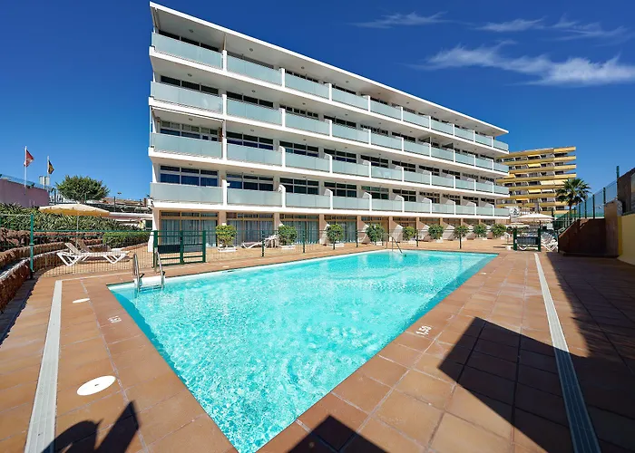 Strelitzias * Playa del Ingles (Gran Canaria)