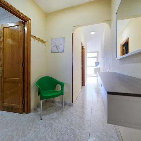 Strelitzias * Πλάγια ντελ Ινγκλές