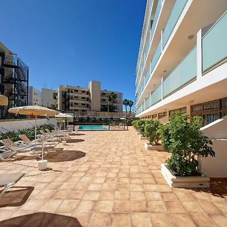 Strelitzias Πλάγια ντελ Ινγκλές