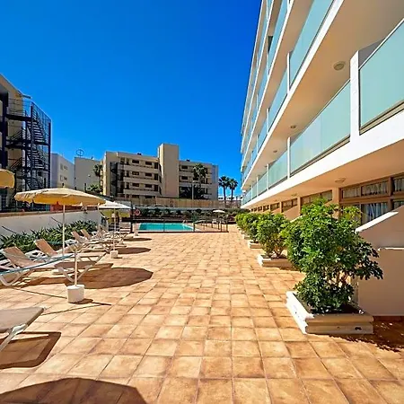 Strelitzias Playa del Inglés