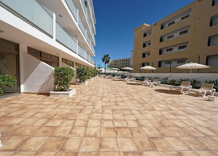 Strelitzias Playa del Inglés