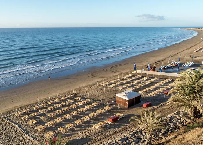 Strelitzias * Плайя-дель-Инглес